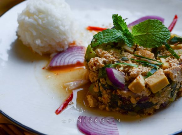 LarbTofu-9241